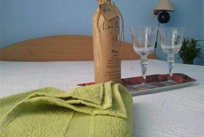 Casă cu 8 camere în Sânmartin - 5