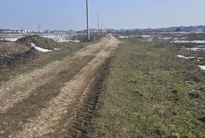 Teren de 400 mp, în Tunari - 5