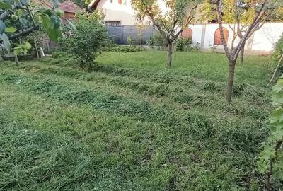 Casă cu 4 camere în Braniștea - 16