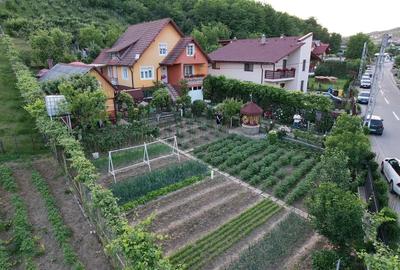 Casă cu 4 camere în Central - 1