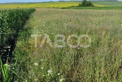 Teren extravilan de vanzare 25920 mp in Sura Mica Sibiu - 7