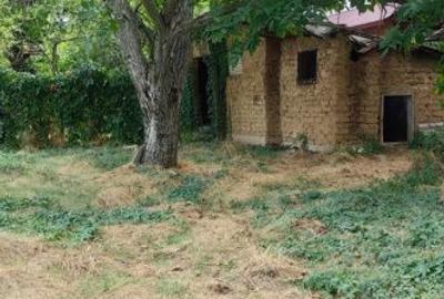 Teren de 2900 mp, în Putineiu - 1