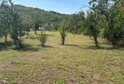 Teren de 3000 mp, în Central - 8