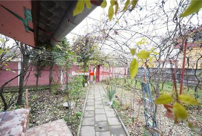 CASA PE COLT | IOSIA | TEREN DE 444 MP - 11