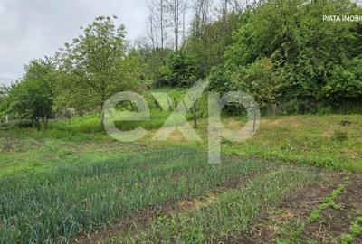 Casă cu 4 camere cu Teren 1145 Mp în - 18