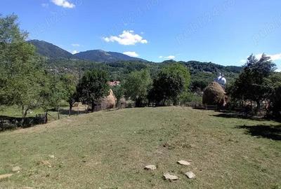 De vanzare teren intravilan in zona de munte - 3