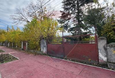 Teren de vanzare in Valu lui Traian, Calea Dobrogei - 1