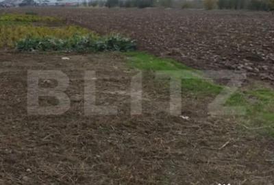 Teren de 3000 mp, în Ișalnița - 1