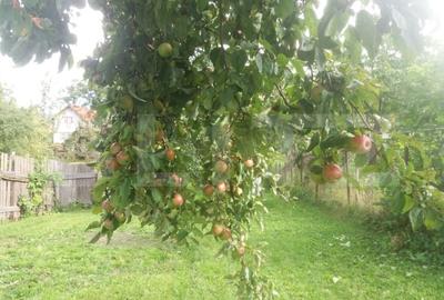 Vanzare Casa in Sacele - Locuinta cu Teren Generos cu Potential -de Renovat - 14