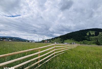 Teren de 7834 mp, în Dorna-Arini