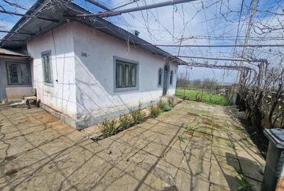 Casă cu 4 camere cu Teren 2170 Mp în Nucetu - 3