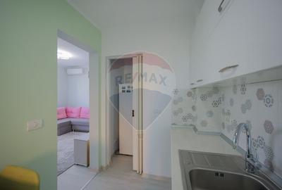 Apartament cu 2 camere de vanzare, 39 mp, Anastasia Residence, Nufarul - 18