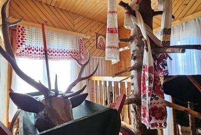 Pensiune in jud. Buzau, loc Ivanetu| Constructie lemn|Pozitionare impresionanta - 12