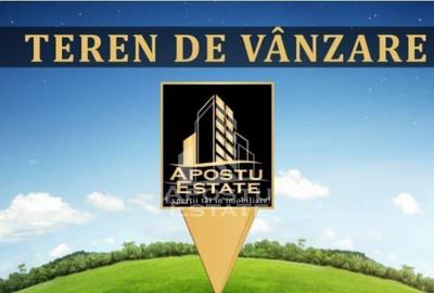 Teren intravilan, in exclusivitate, in Belotint, jud. Arad - 1