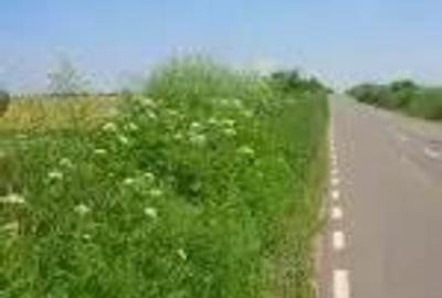 Teren in Urleta,intravilan industrial - 2