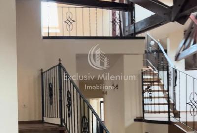 Udriste Birouri la vila 355mp - Unirii - 3