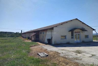 Spațiu comercial, de 972 mp, în Mișca - 17