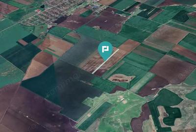 Teren 30.000 mp la drum asfaltat Peciu Nou - 1