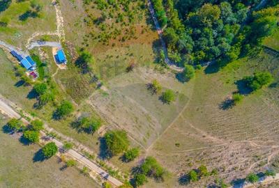 Teren agricol extravilan de 6014 mp, în Holbav - 5