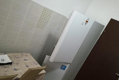 3 camere Eremia , mobilat / utilat / GARAJ ! - 12