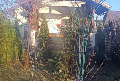 Casă cu Teren 641 Mp în Lunca Cetățuii - 8