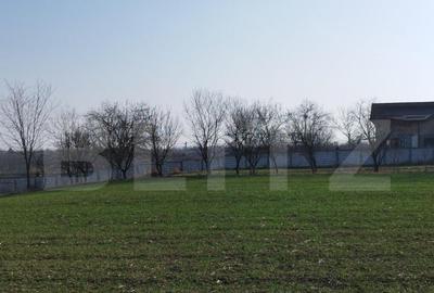 Teren 12223mp, deschidere 27mp, intravilan, Berceni - 6