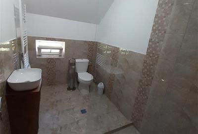 Casă cu 2 camere în Cârțișoara - 6