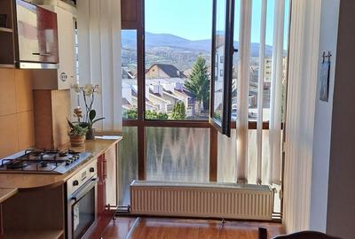 Apartament cu 2 camere decomandat în Cetate - 10