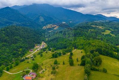 Teren Parcul National Bucegi/Str Glajarie Rau Mare/Panicel/Sohodol - 5