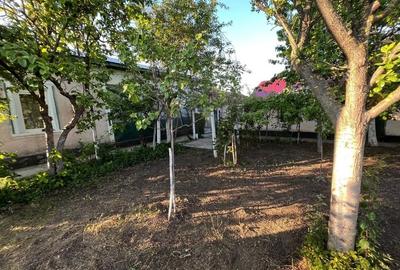 Casă de vanzare - Salcia Teleorman - 2