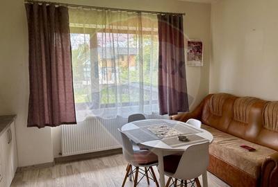 Casă individuală cu 2 camere cu Canalizare în Ocna Șugatag - 4