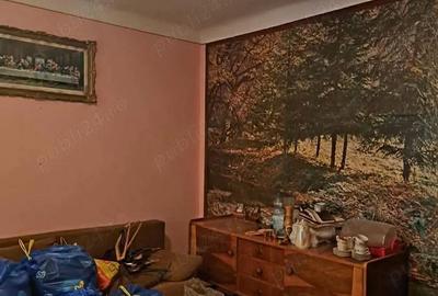 Casă cu 3 camere cu Teren 500 Mp în Titulescu - 11