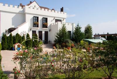 REV2000904 Vila spectaculoasa - zona Cernica - 4