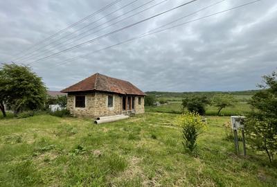 Teren 2800mp cu front de 30m la DJ, ideal pentru constructie - 3