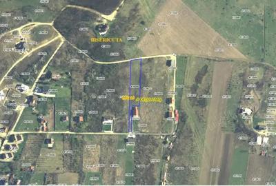 Intravilan in zona DEALUL VIILOR - 2