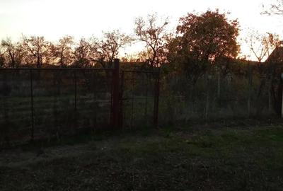 Teren de 1500 mp, în Șagu - 1
