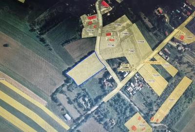 Teren de 4000 mp, în Crângurile - 5