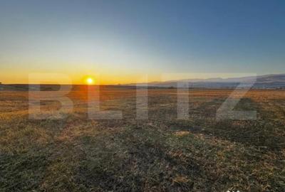 Teren de 780 mp, în Partoș