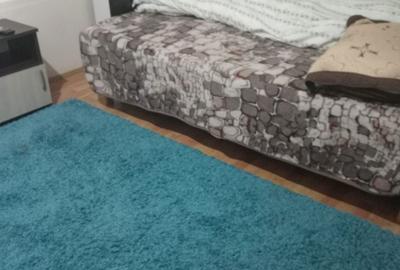 Garsonieră în Prundu - 3