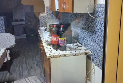 Casă cu Teren 2500 Mp în Otelec - 9