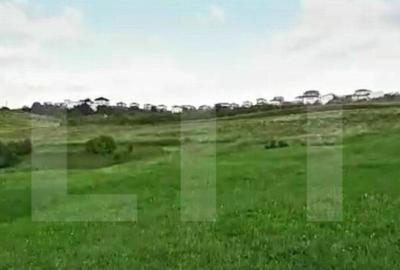 Teren intravilan ,4039 mp,in cartierul Borhanci - 2