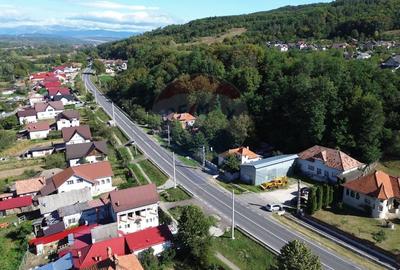 Spatiu comercial si casa de vanzare in Furnicosi. - 13
