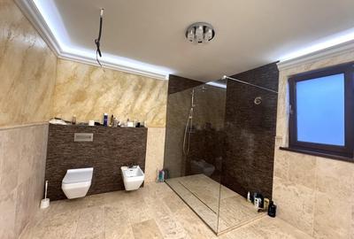 Dumbravita, Casa Individuala, Teren 700 MP - 5