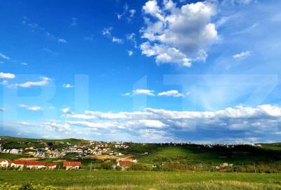 Teren 650 mp, PUZ in lucru, zona de case, zona Borhanci - 2