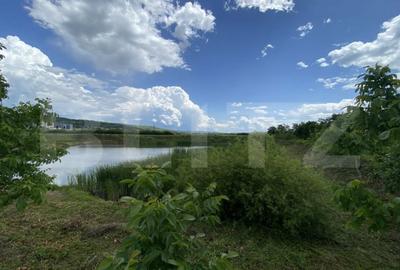 Teren de 10000 mp, în Șărmășag - 8