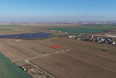 RECO Teren intravilan in LIvada de Bihor - 3