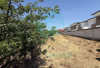 Teren Construcții intravilan de 1706 mp, în Central - 2