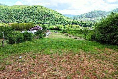 Teren Construcții intravilan de 5333 mp, în Periferie - 5
