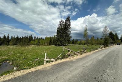 Teren Construcții intravilan de 6000 mp, în Șaru Dornei - 2