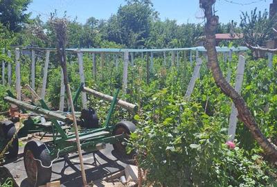 Casă cu 5 camere în Pechea - 6